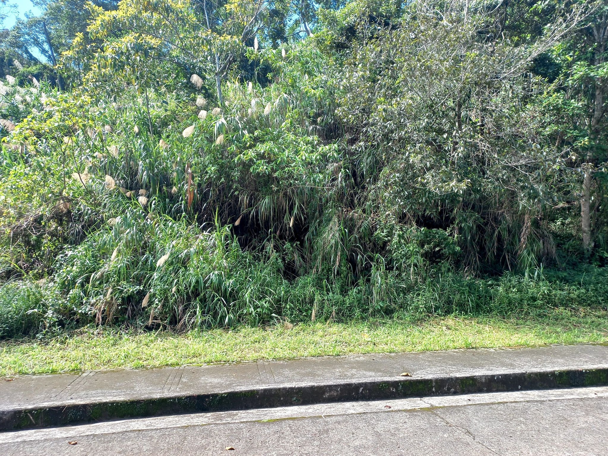 505sqm Residential Lot for Sale at Pinewoods Golf & Country Estate