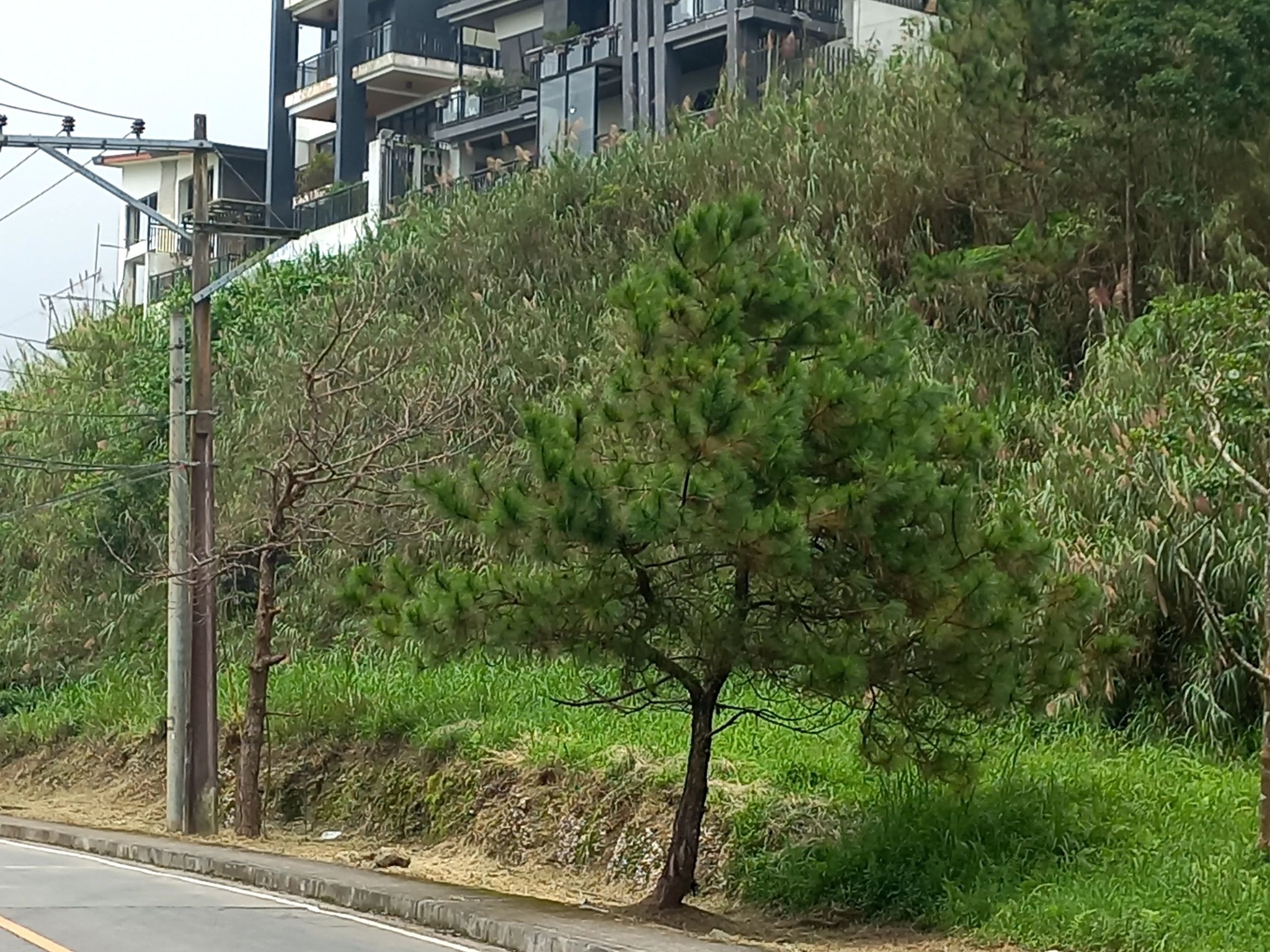 434sq.m Along Circumferential Road Pinewoods Lot for Sale