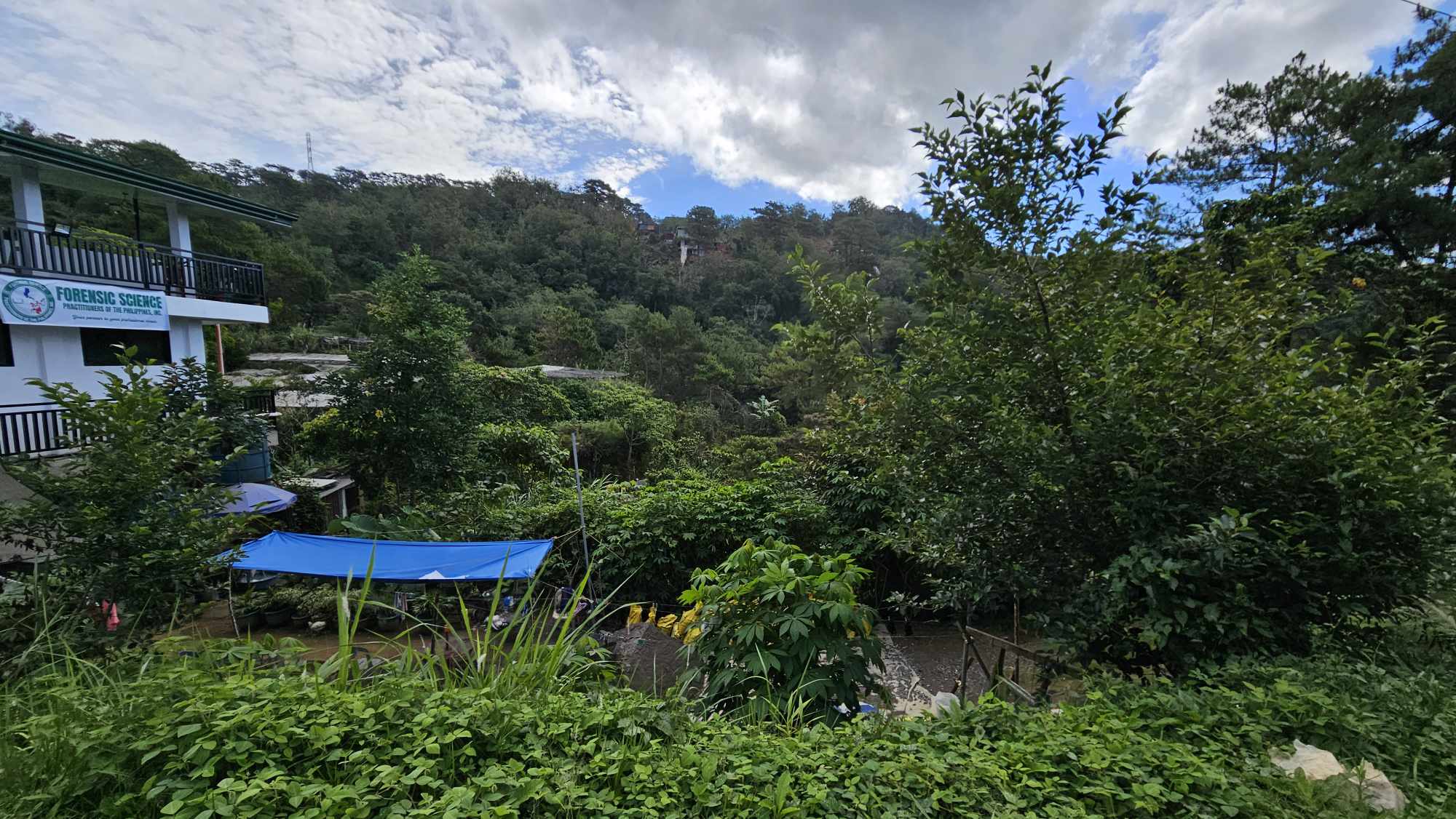 Farmland Adjacent to King Louie Farm in Puguis, La Trinidad