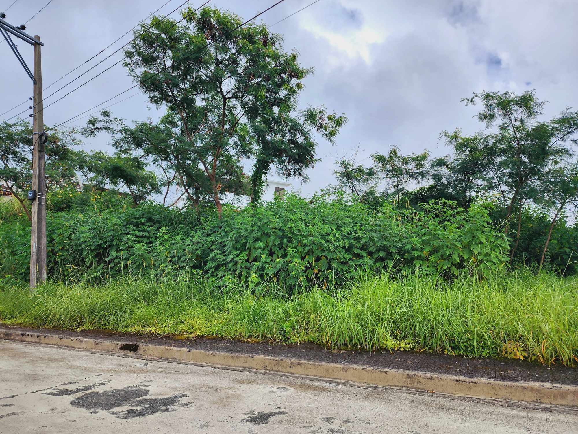 Pinewoods Estate – 470sqm Flat Terrain Lot with Overlooking View