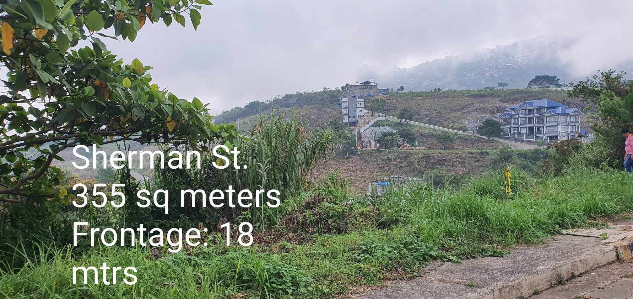 For Sale! 355 sqm Residential Lot in Pinewoods Estate-Phase 2