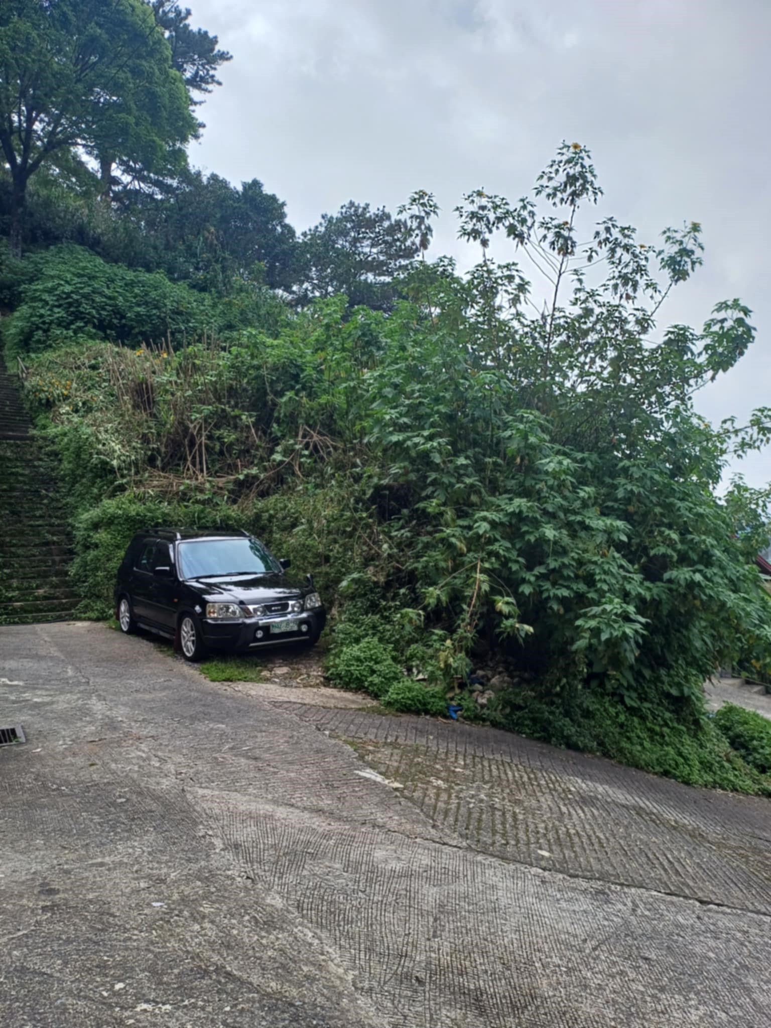 300sqm Titled Residential Lot for Sale in QM, Baguio City