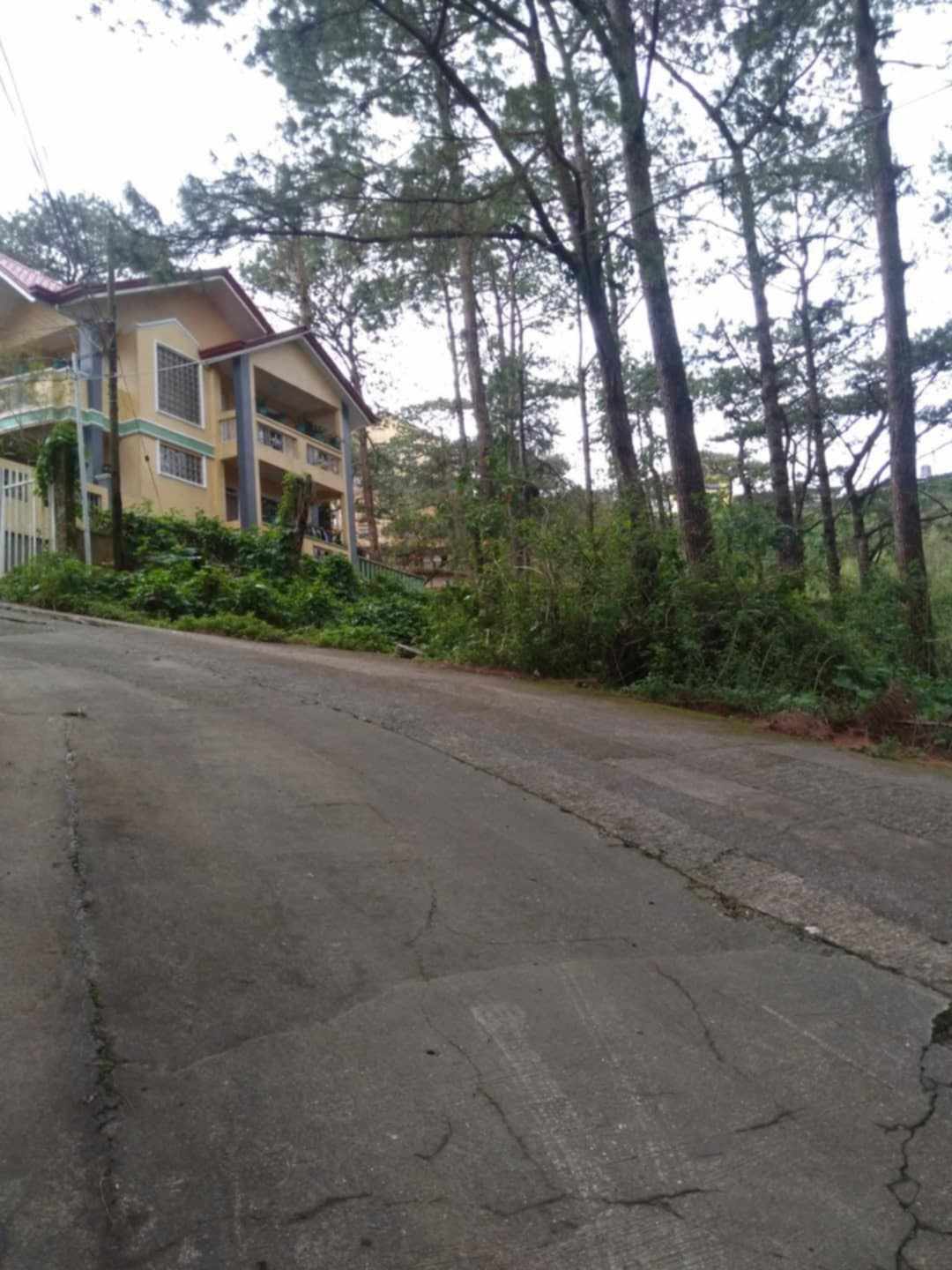 17k/sq.m Residential Lot for Sale in Suello Village, Baguio City