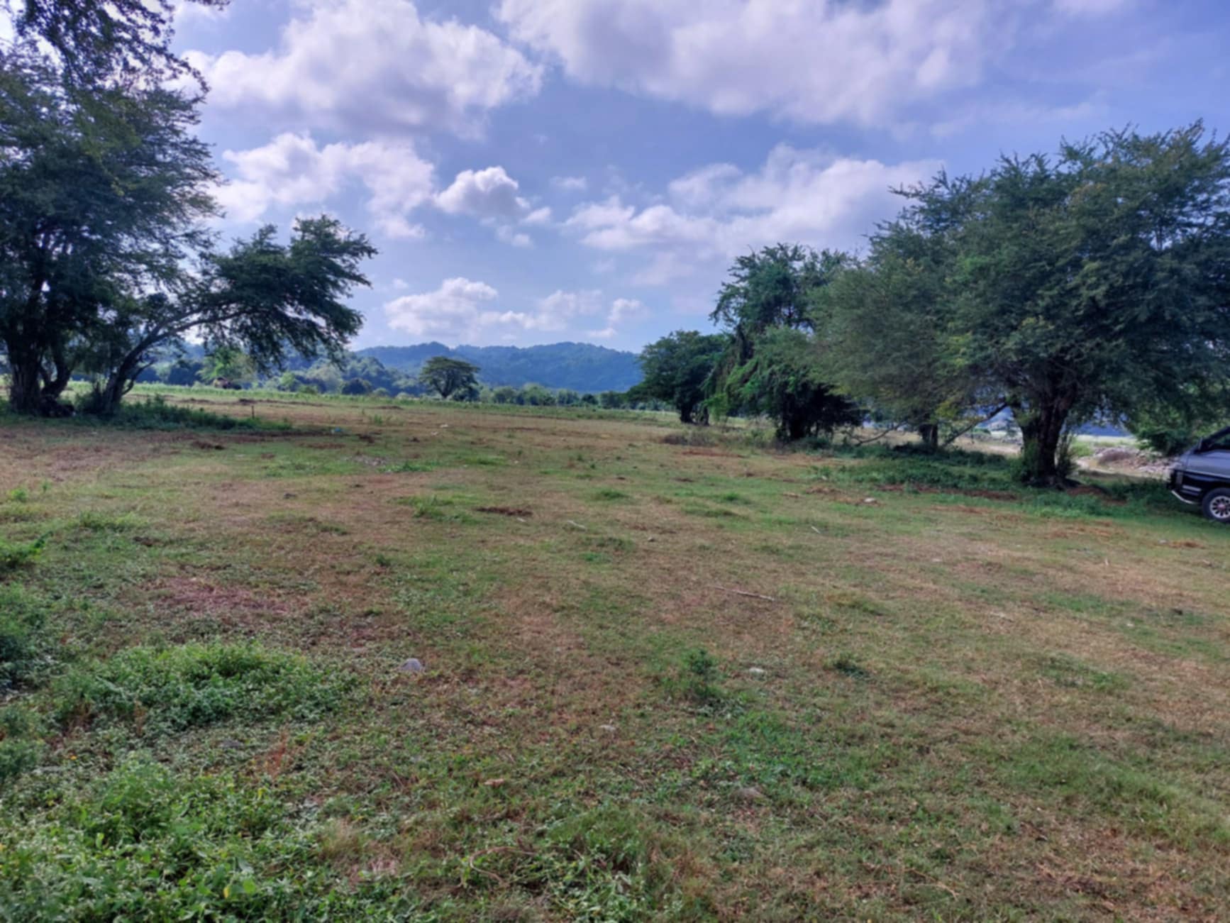 5 Hectares Farm Lot for Sale P250/sqm in Naguilian, La Union