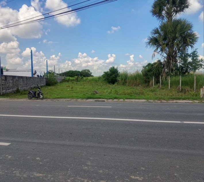 Commercial Lot for Sale in Ramos, Tarlac
