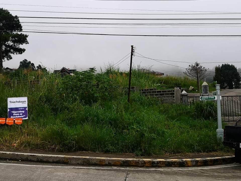 305 sqm Flat Terrain and Corner Lot for Sale in Pinewoods Estate