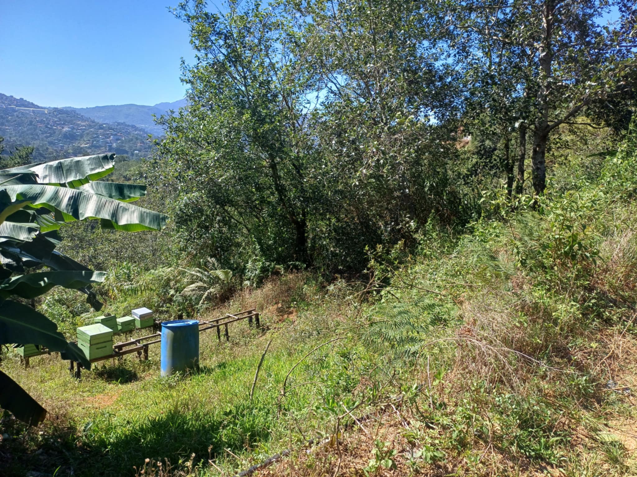 1800sq.m Lot for Sale in Longlong, Puguis, La Trinidad