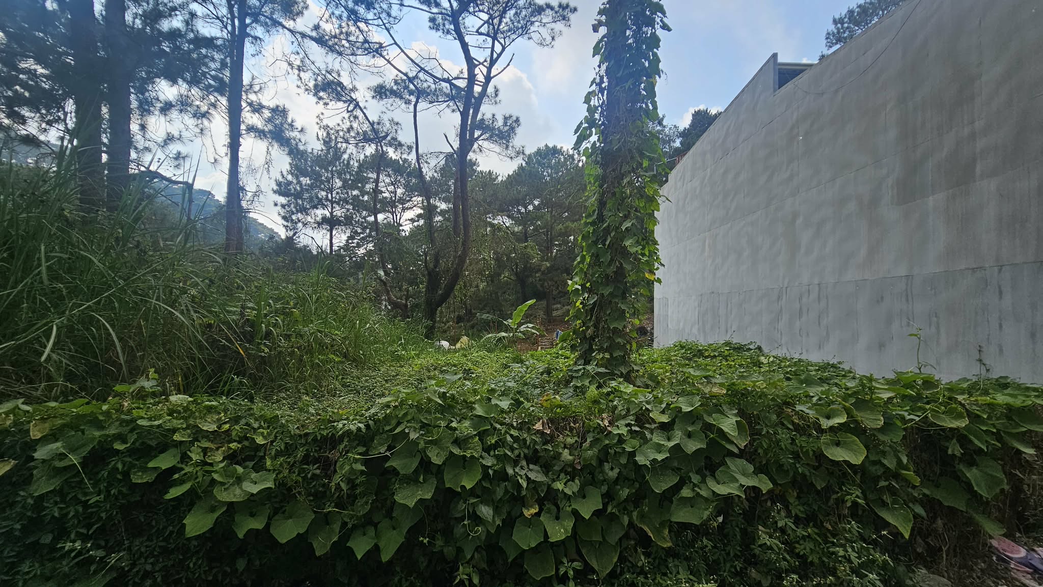 250 sqm Residential Lot for Sale Near PNB Ville Village, Baguio City